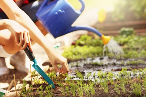 Gardener trimming a small terrace garden in Bayswater