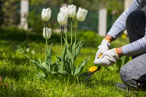 Lush Bayswater garden showcasing diverse plant species