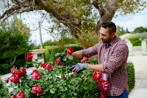 Gardener inspecting a residential garden in Bayswater with tools