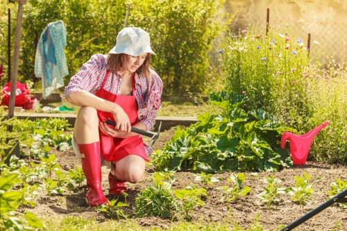 Eco-friendly garden clearance practices