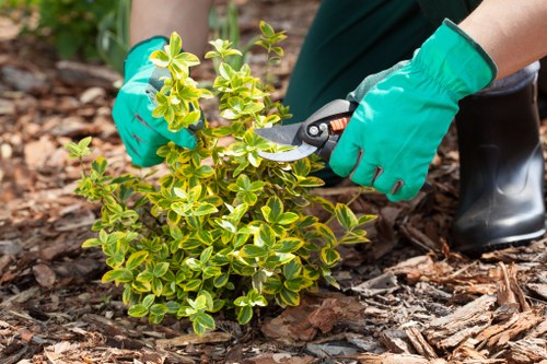 Professional garden clearance team at work