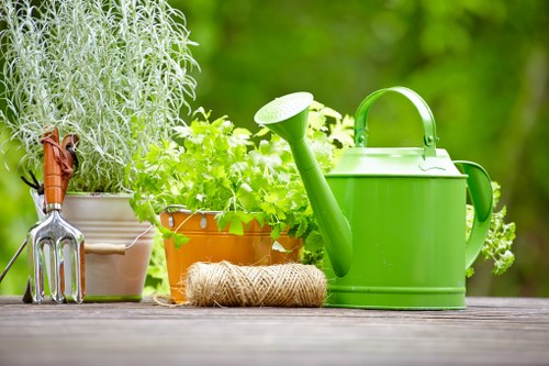 Garden planning and design layout in Bayswater
