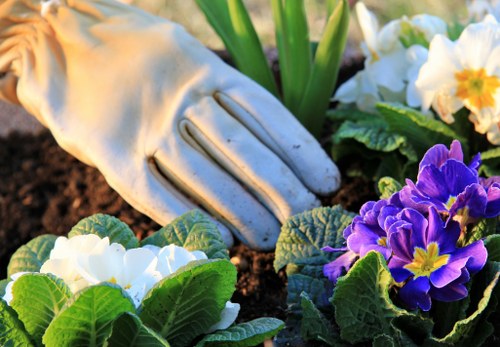 Tips for safe payments for garden maintenance