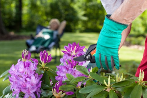 Close-up of hands pruning a shrub during Bayswater garden maintenance