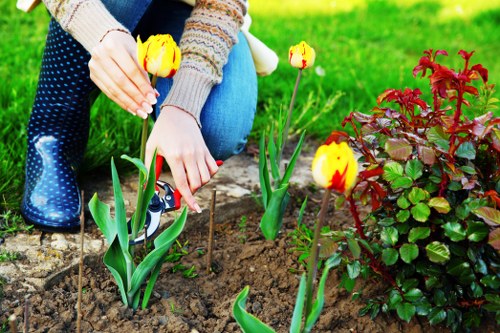 Satisfied customers enjoying their well-maintained garden by Garden Maintenance Bayswater