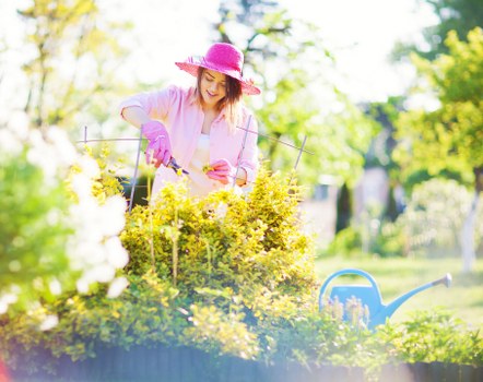 Gardener inspecting a property boundary before starting maintenance
