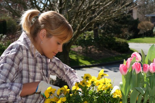 Selection of native plants suitable for Bayswater gardens